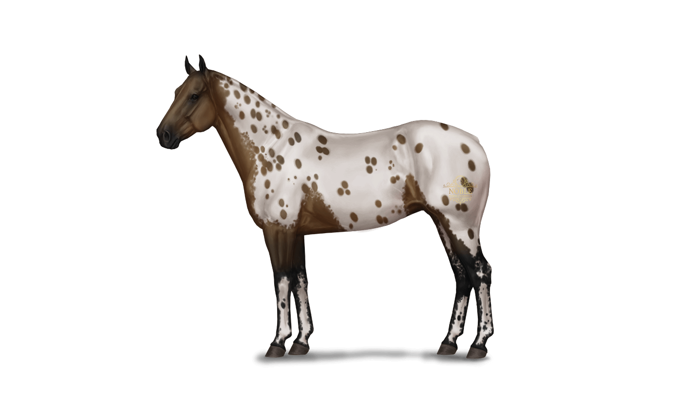 20 Appaloosa Facts: Insights into this Beautiful Horse Breed 