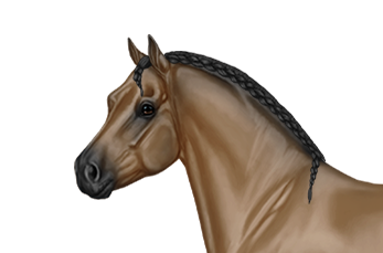 Dapple Gray, WikiHorses